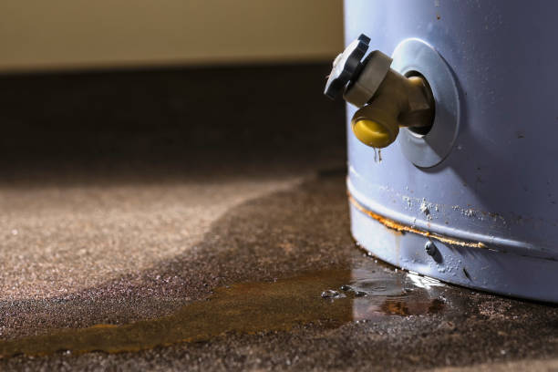 Best Professional water damage repair  in Linden, AZ