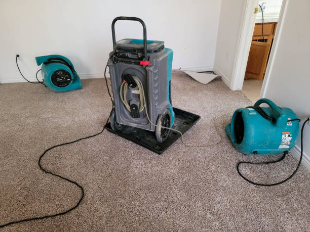 Best Flood restoration services  in Linden, AZ