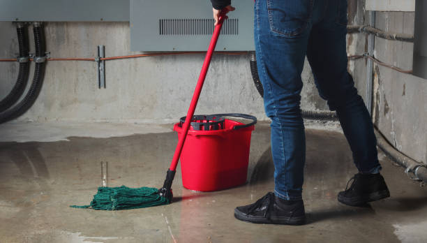 Best Professional water damage repair  in Linden, AZ