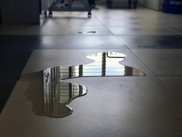 Best Water damage contractors near me  in Linden, AZ