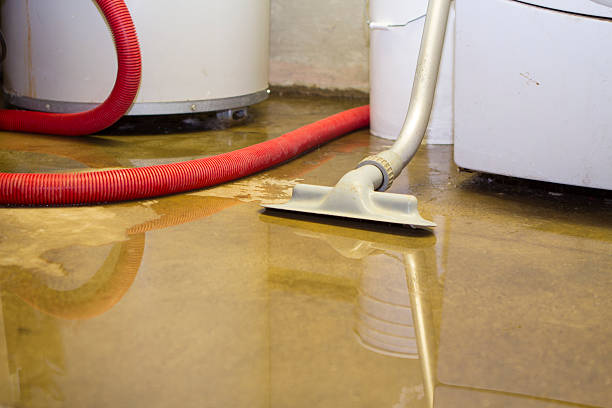 Best Emergency water extraction  in Linden, AZ
