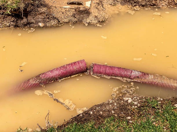 Best Flooded house restoration  in Linden, AZ